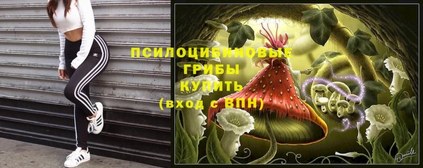 амф Краснослободск