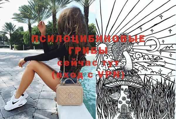 ПСИЛОЦИБИНОВЫЕ ГРИБЫ Краснотурьинск