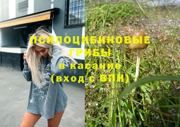 ПСИЛОЦИБИНОВЫЕ ГРИБЫ Краснотурьинск