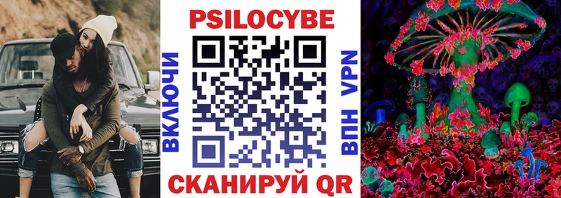 Псилоцибиновые грибы Cubensis  Магадан 